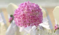 flower_stand_at_the_beach