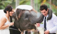 phuket-wedding-thailand-269-reduced