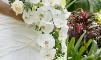 white-orchid-teardrop-bouquet_resize