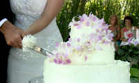 the-sarojin-_wedding-cake-cutting