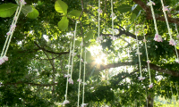 the-sarojin_wedding-beach-tree-decoration