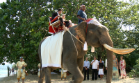 the-sarojin_wedding-couple-elephant-departure