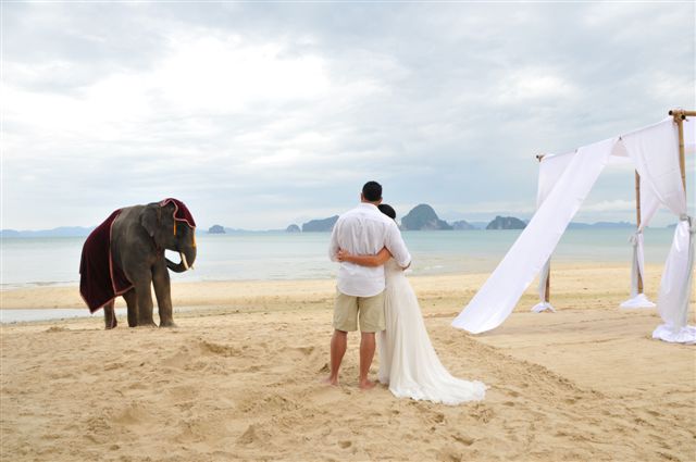 Creative Events Asia Thailand Wedding Beach Elephant Creative
