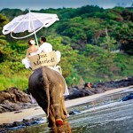 just-married_elephant