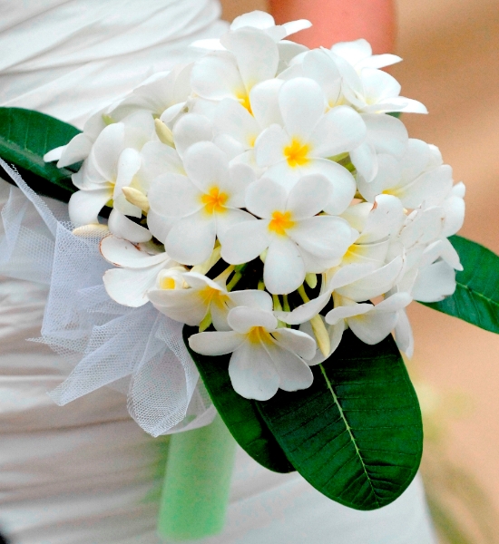 Creative Events Asia : Thailand Wedding Flowers